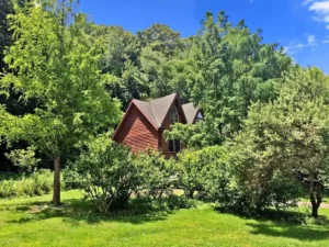 A cabin tucked away behind some green trees.