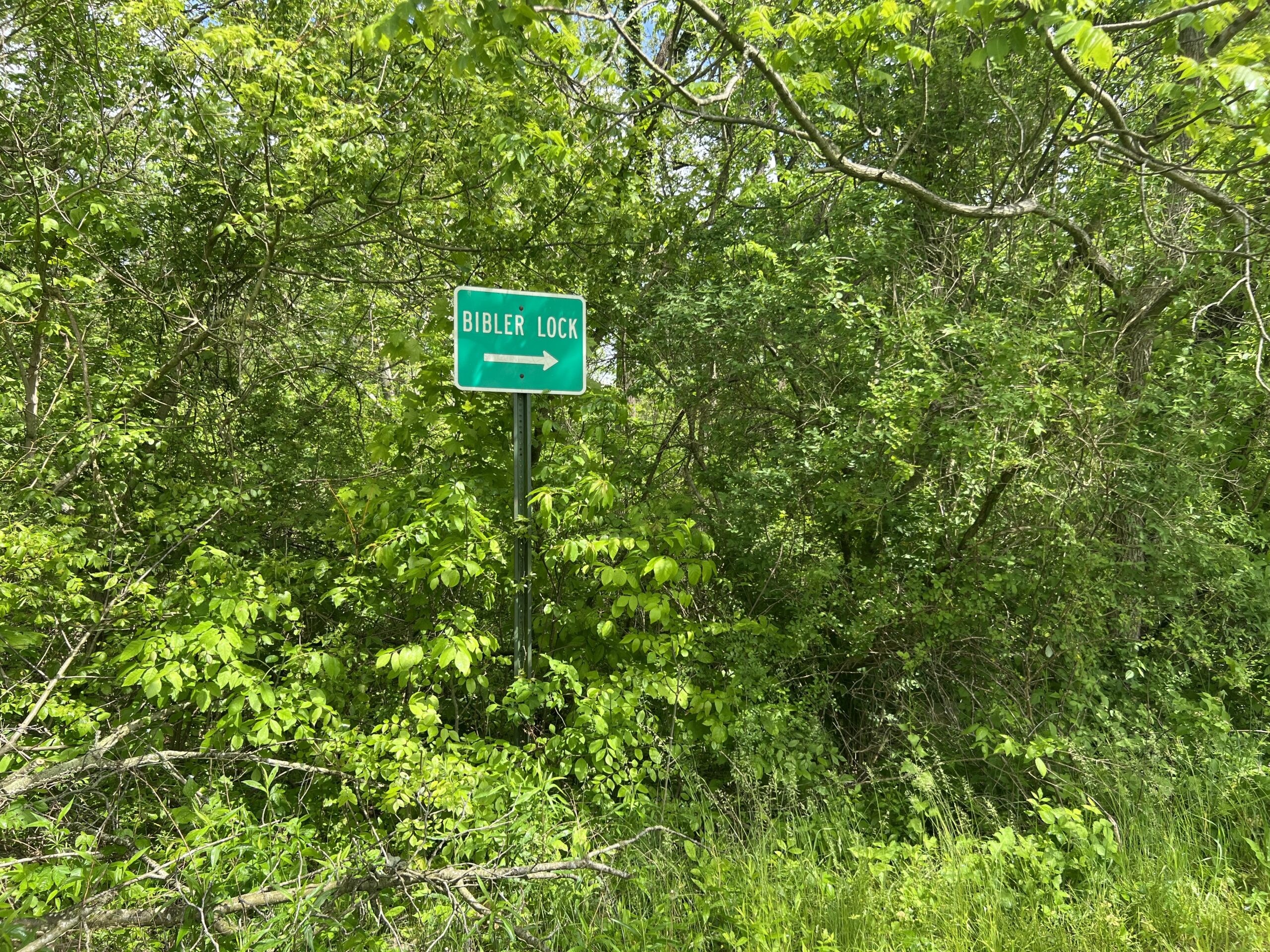 bibler lock sign in thegrass