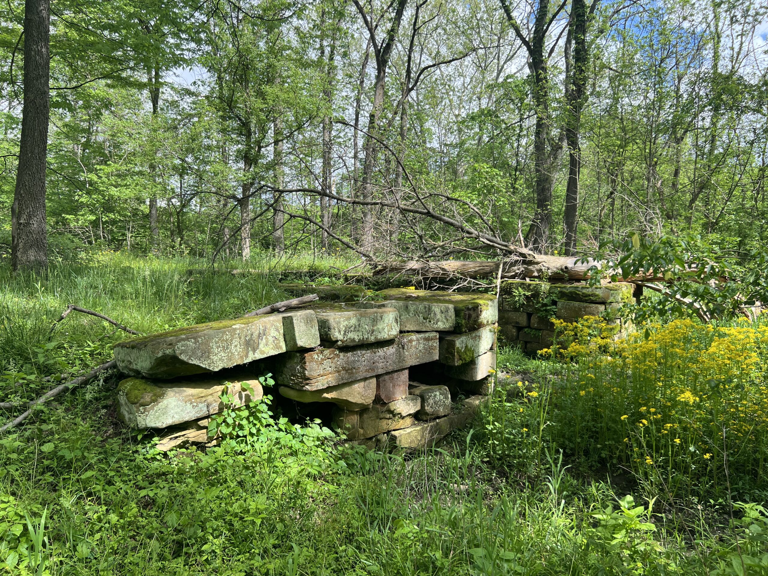 old remains of the ohio & erie Canal