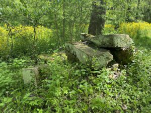 remains of the ohio & erie canal