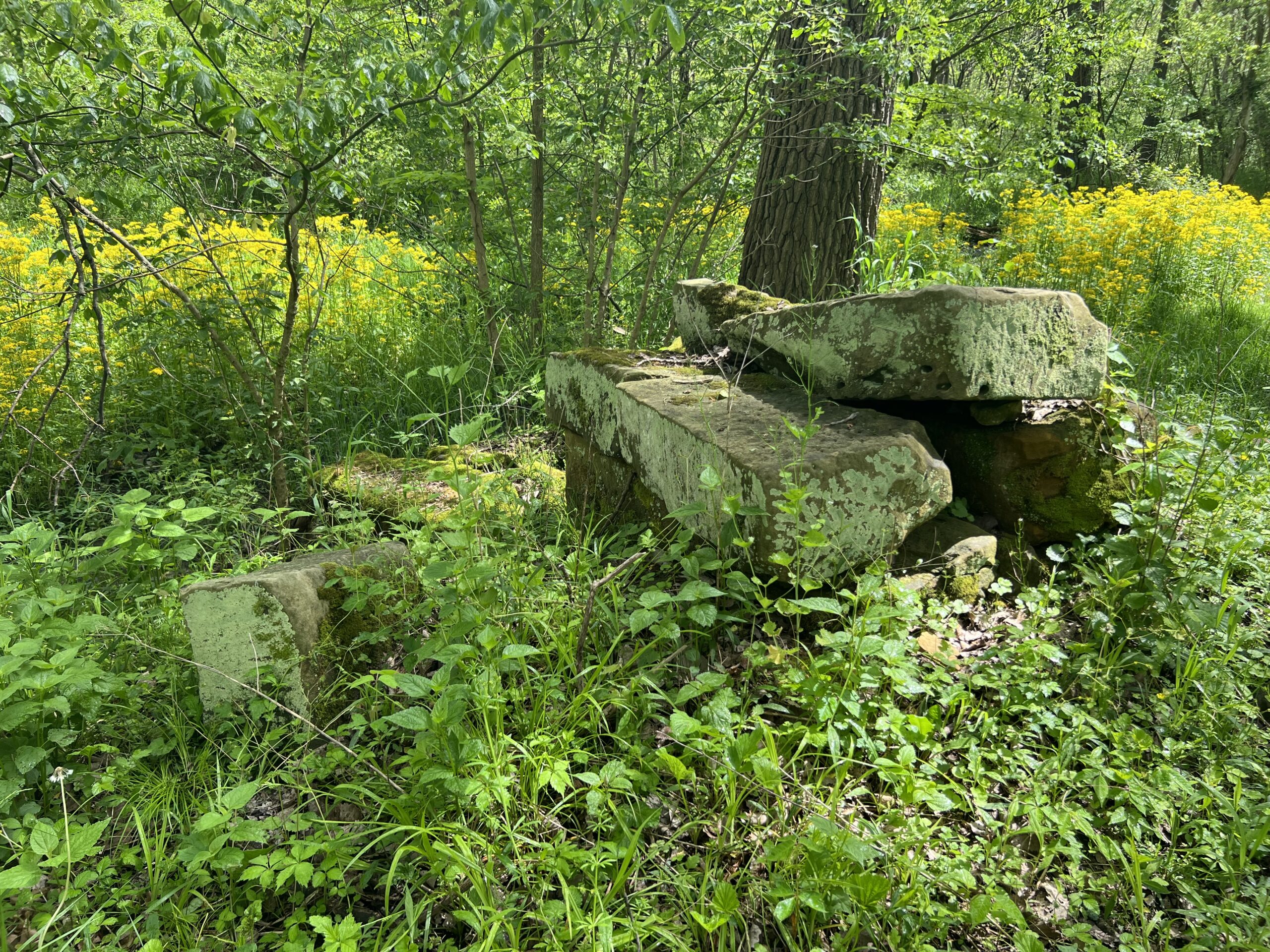 remains of the ohio & erie canal