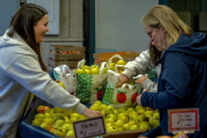 fruit farm market