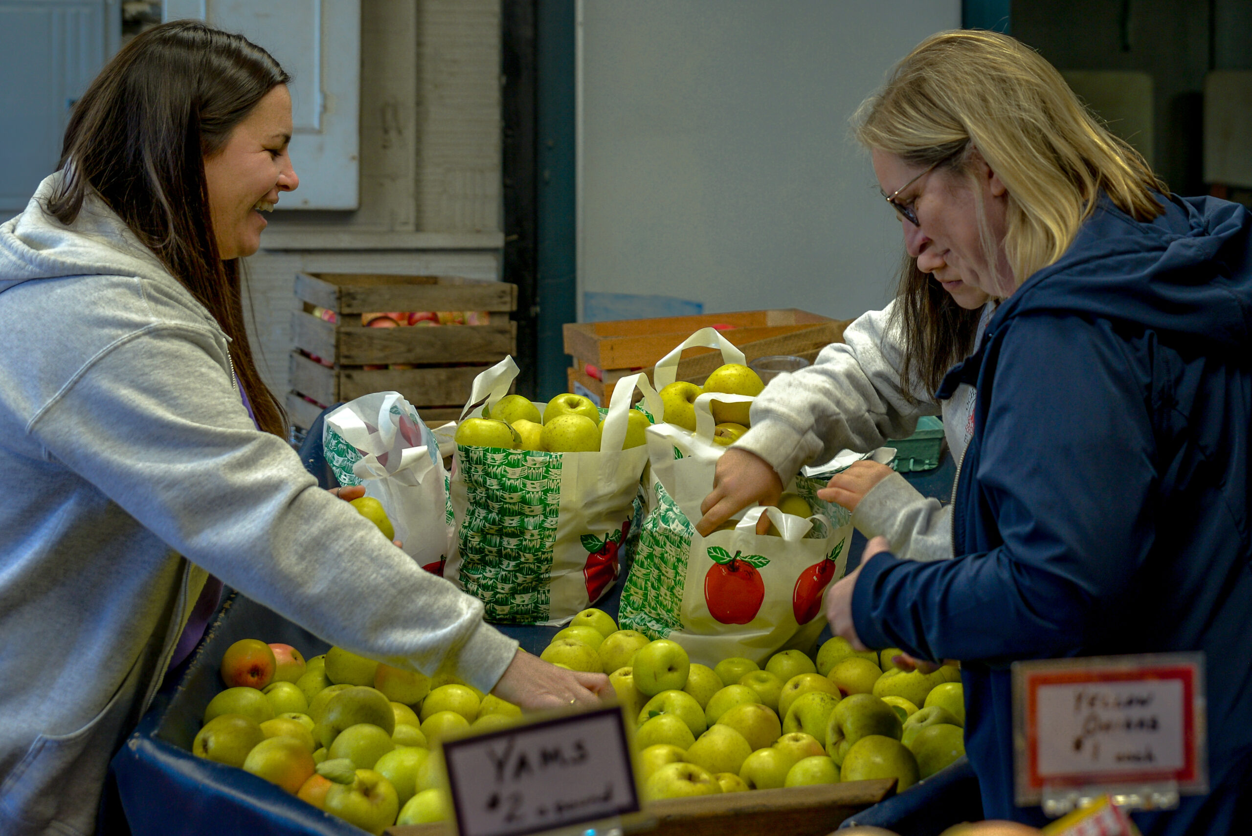 fruit farm market