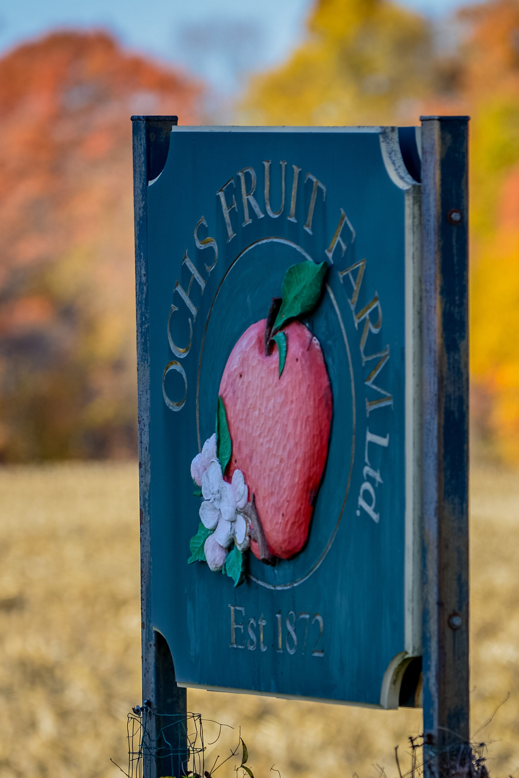 fruit farm sign
