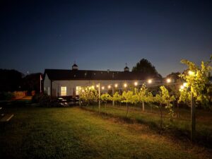mirabelle farm winery nightime photo of vinyard and barn