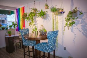 coffee table surrounded by hanging plants