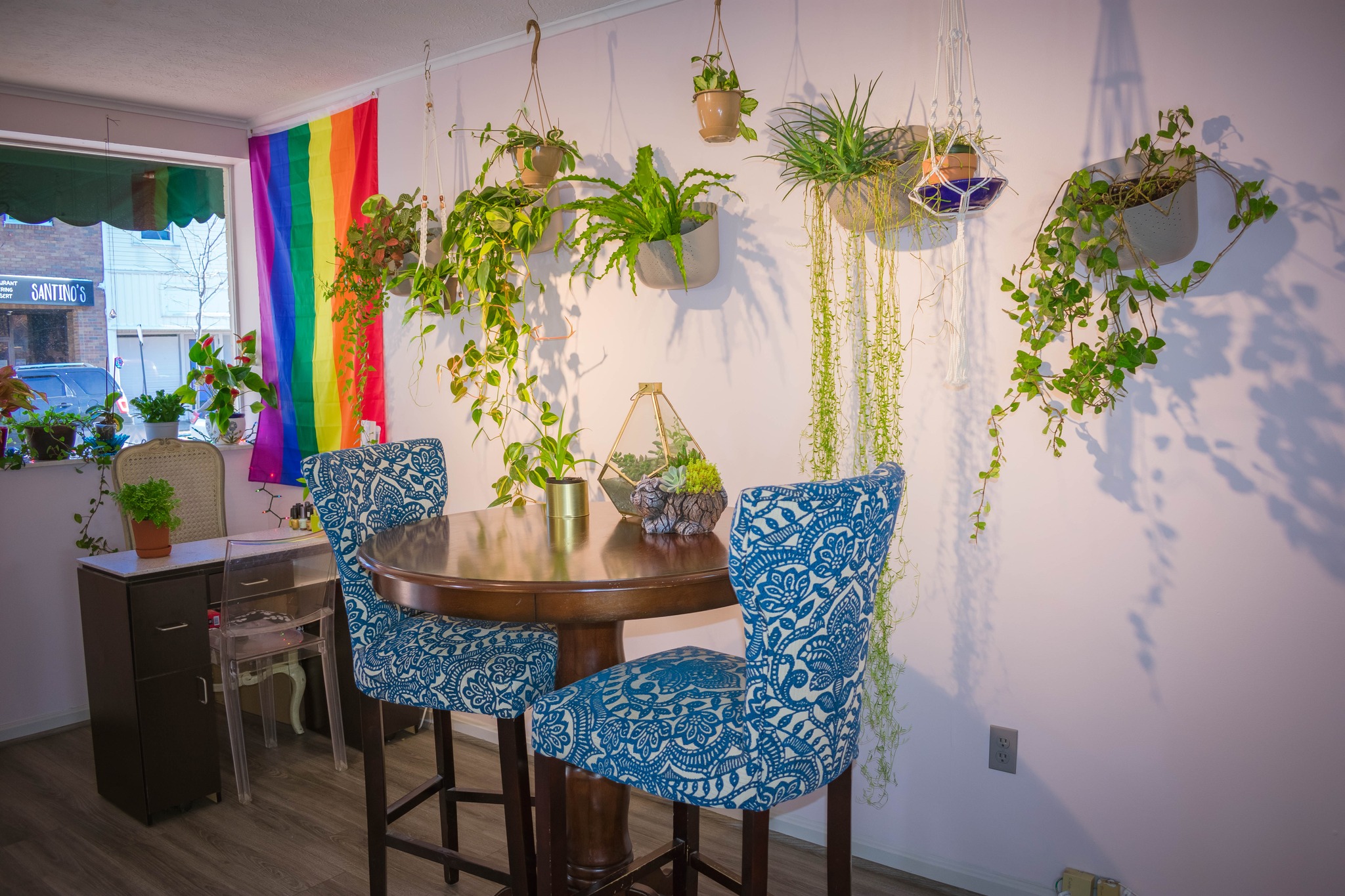 coffee table surrounded by hanging plants