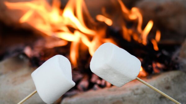 roasting marshmallows
