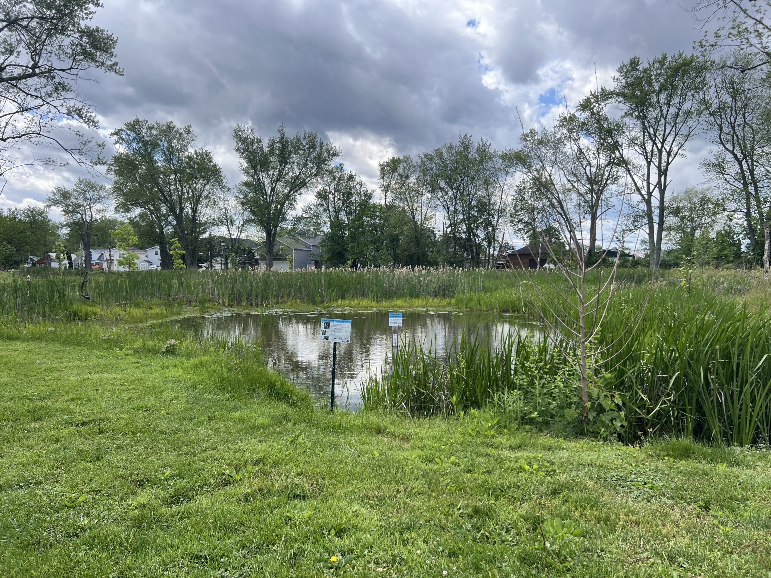 wetland