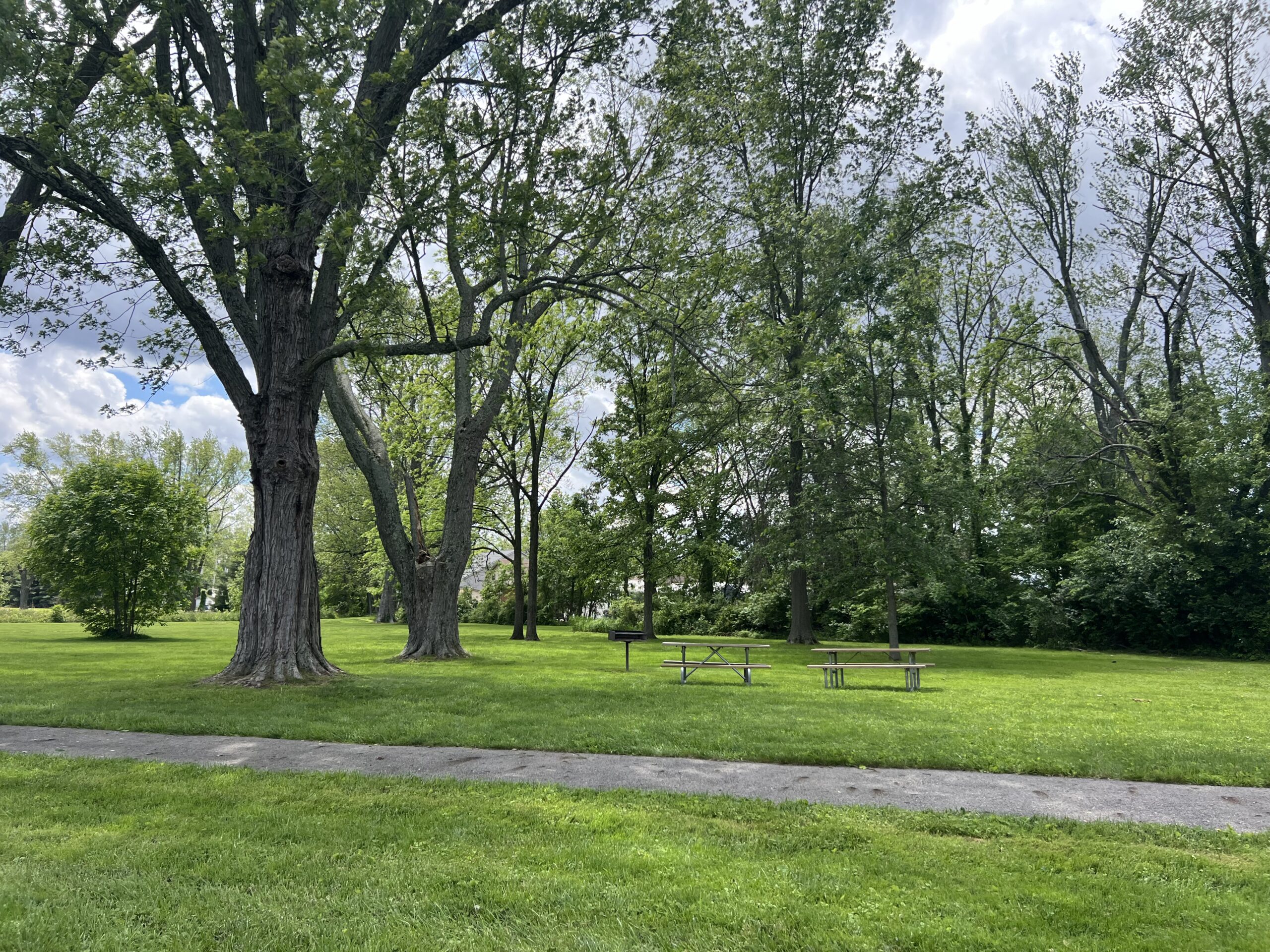 park with picnic tables and a grill