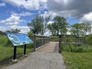 park and wetland area