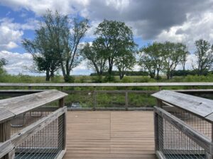 park and wetland area