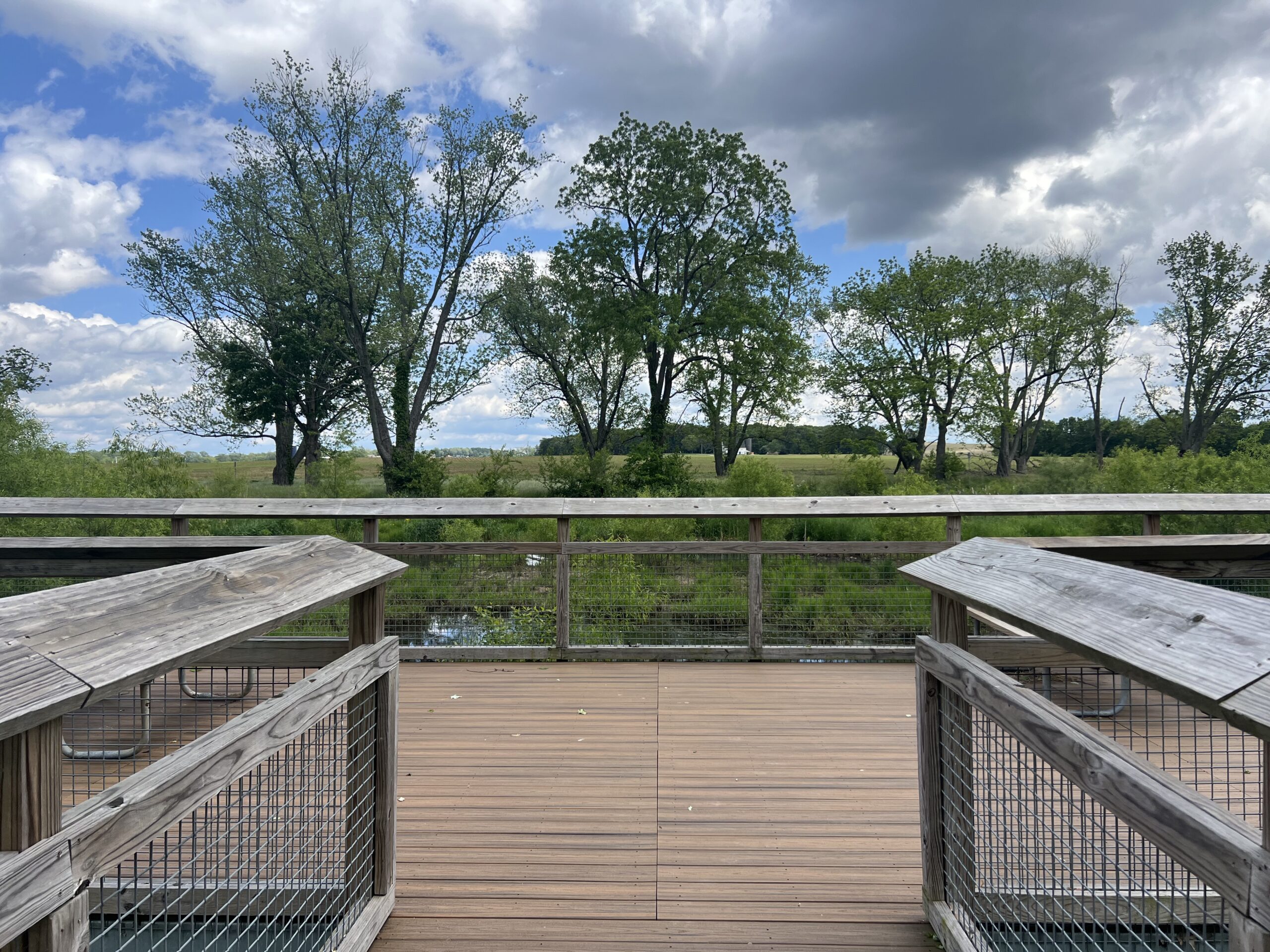 park and wetland area