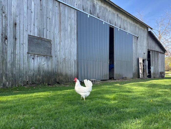 10 Must-See Stops on the HandMade & HomeGrown in Fairfield County Trail