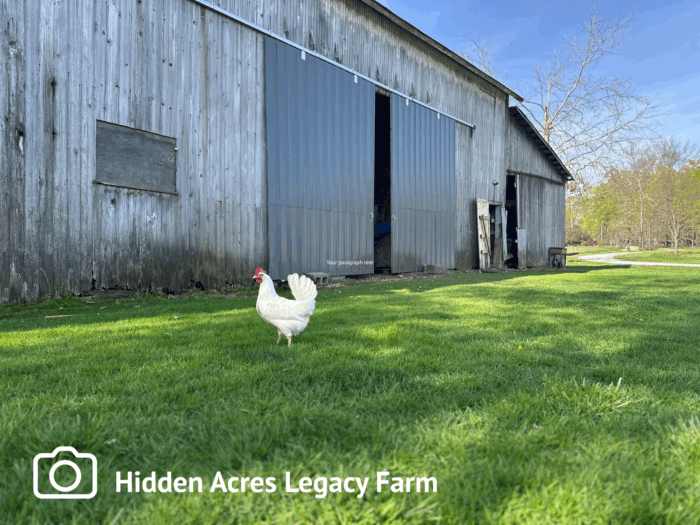 10 Must-See Stops on the HandMade & HomeGrown in Fairfield County Trail