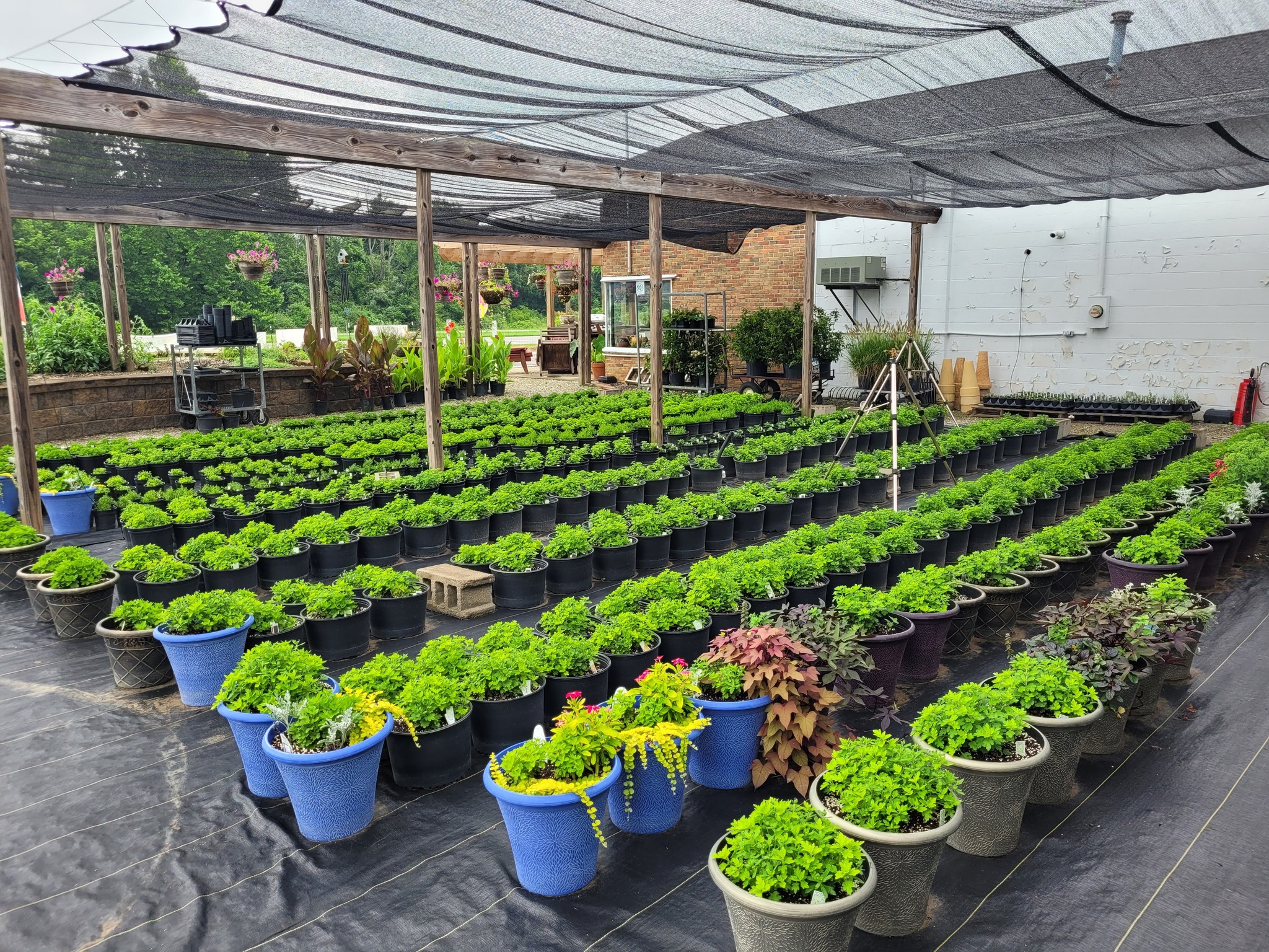 Image of the natural creations greenhouse