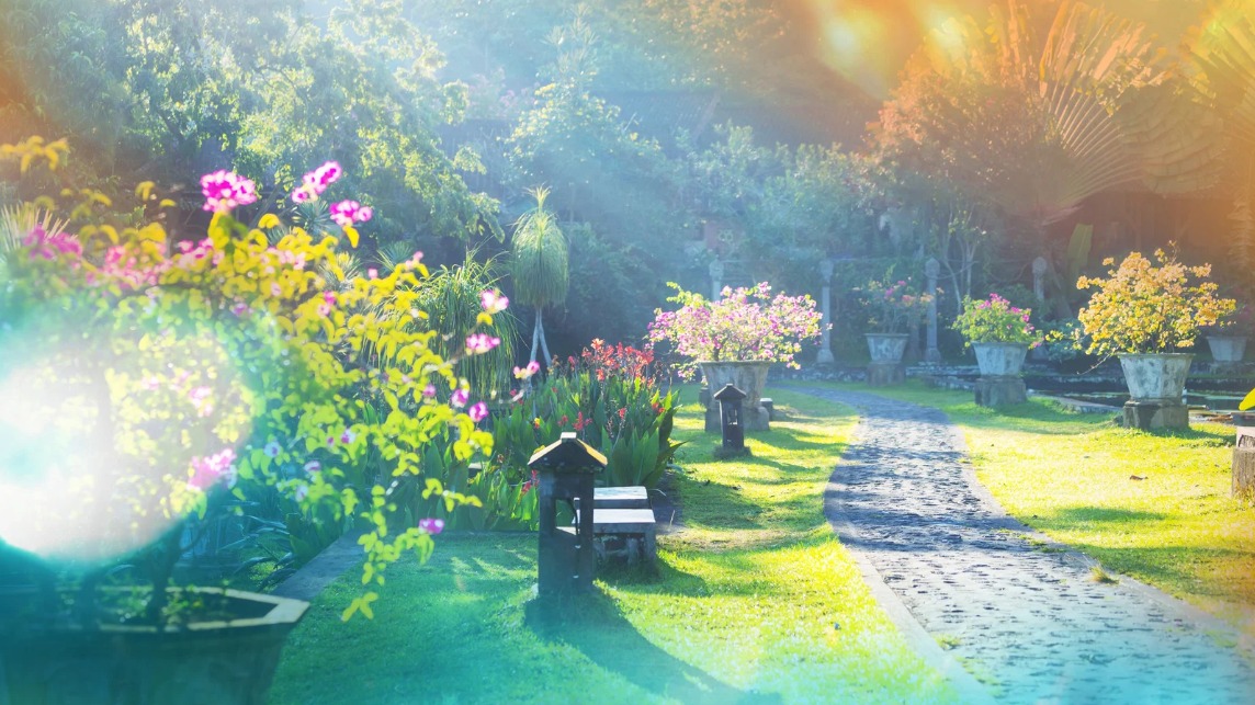 Fairy Garden with flowers all around and a stone path