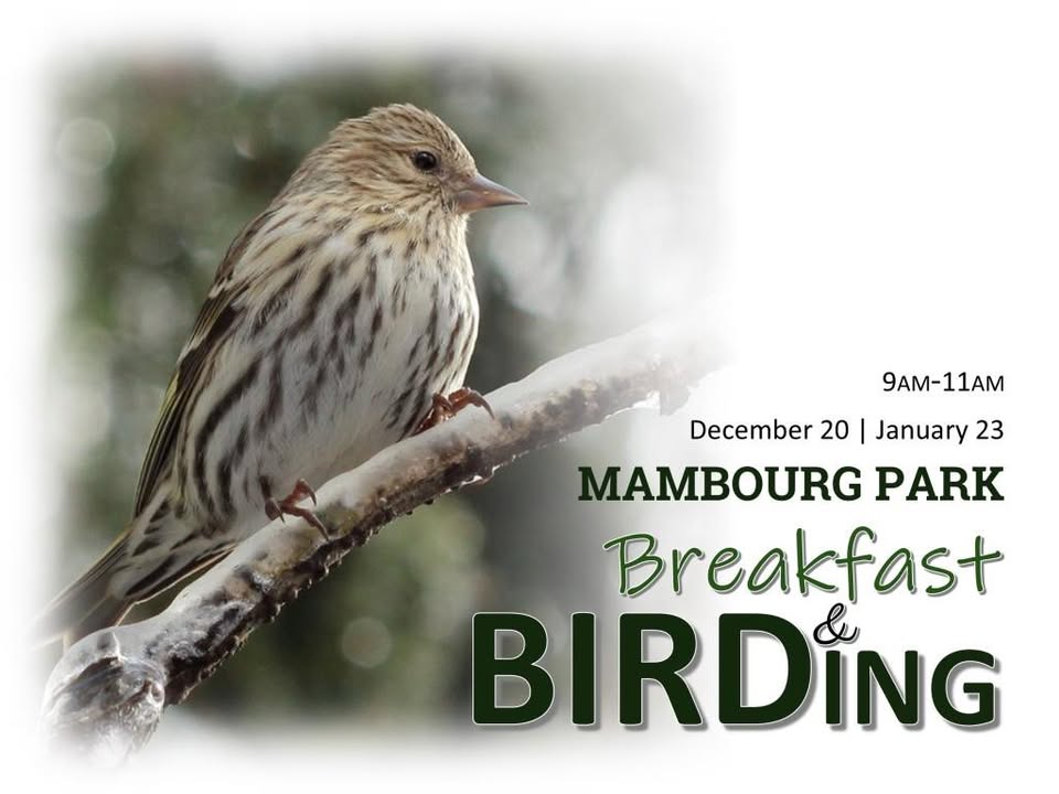 Promotional image for birding and breakfast event