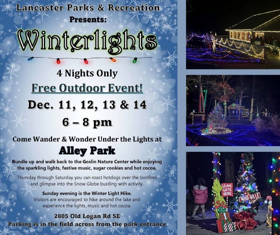 Promotional image for winterlights at alley park