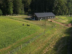 rising sons farm & event center - ariel photo