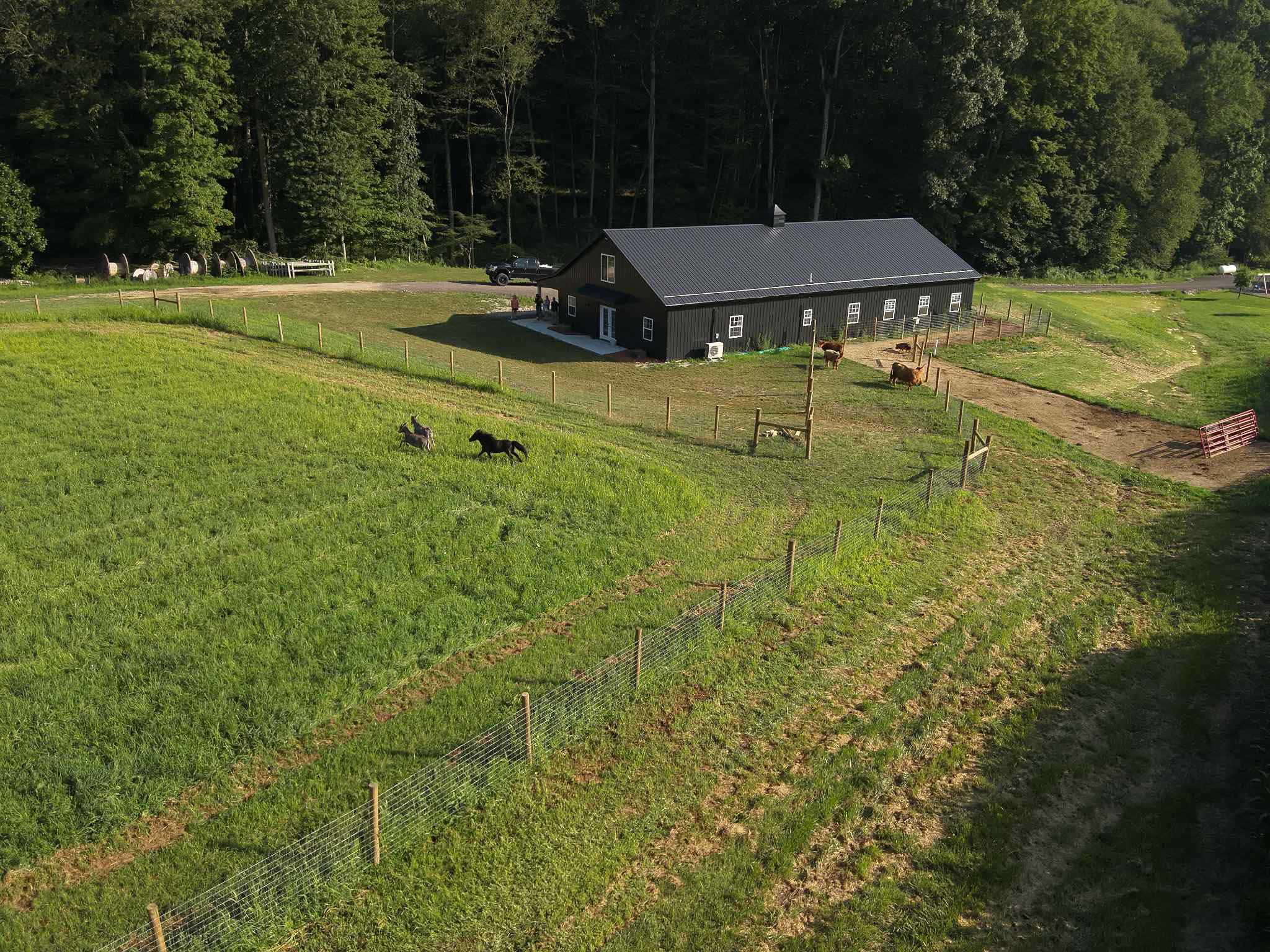 rising sons farm & event center - ariel photo