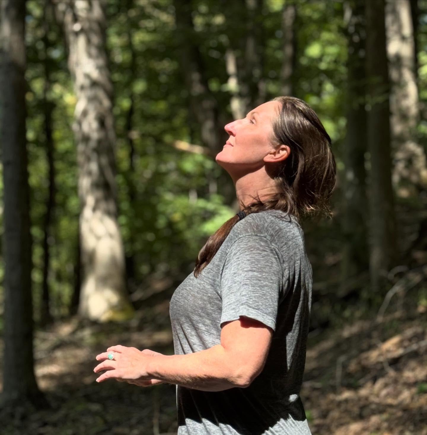 forest therapy - buds in bloom