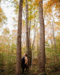 forest therapy - buds in bloom