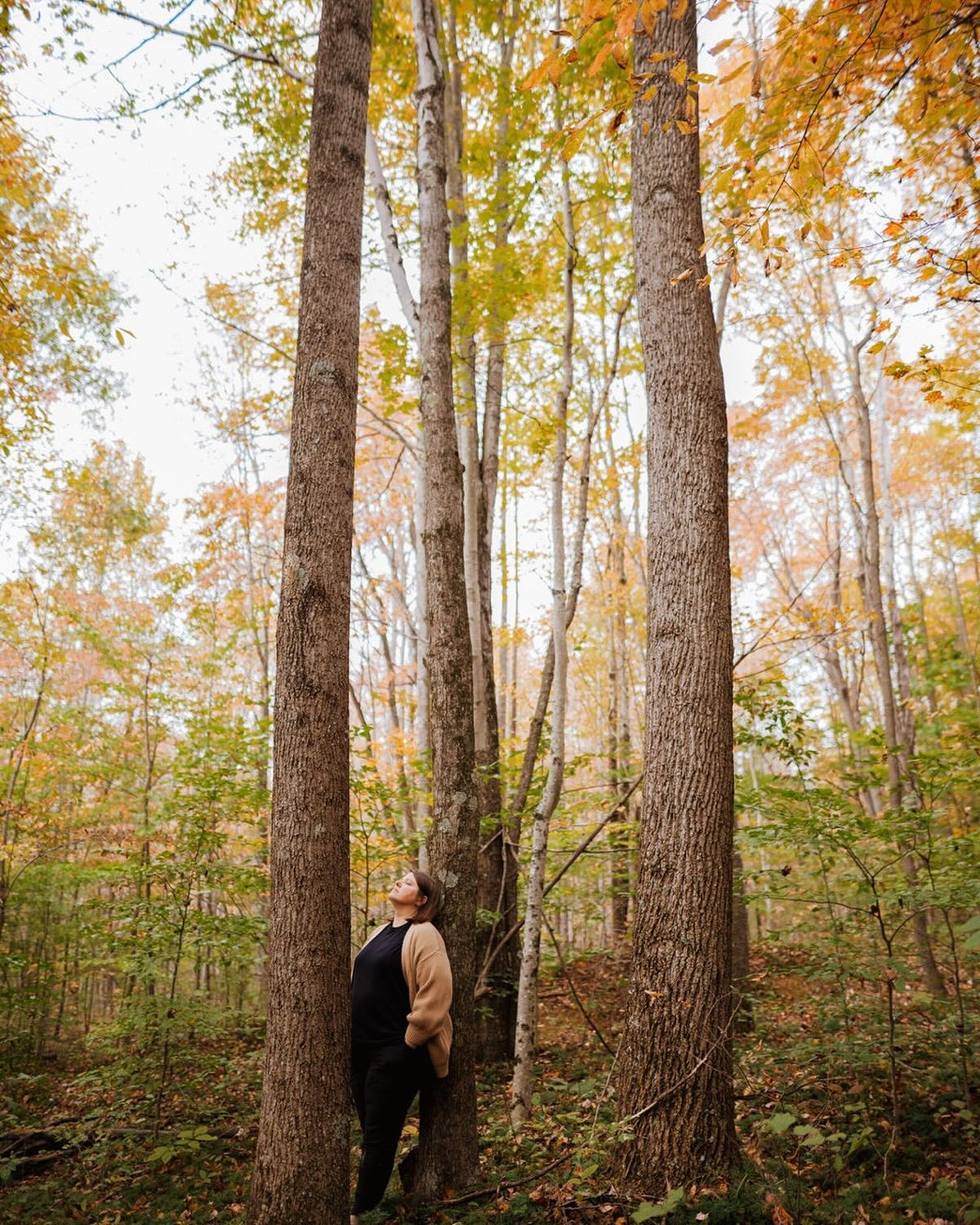 forest therapy - buds in bloom