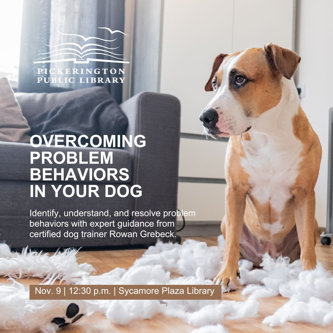 Promotional image for behavioral dogs