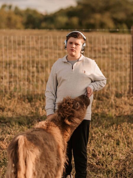 Photo of someone feeding a cow at Buckeye Ridge Rescue & Retreat