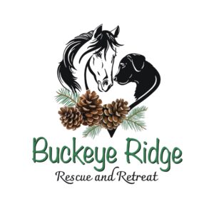 Logo for Buckeye Ridge Rescue & Retreat